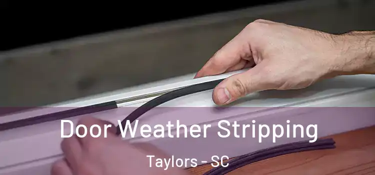 Door Weather Stripping Taylors - SC