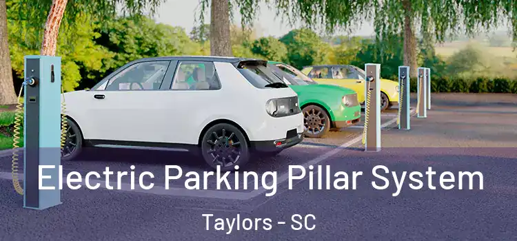 Electric Parking Pillar System Taylors - SC