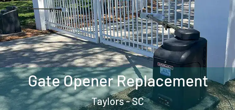 Gate Opener Replacement Taylors - SC