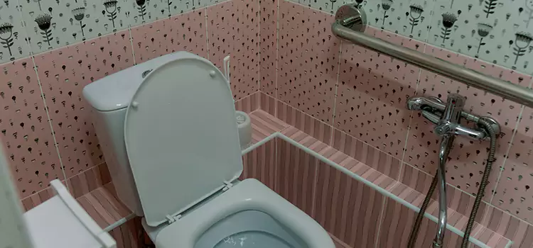 Meeting Diverse Needs With Accessible Restroom Solutions in Taylors, SC