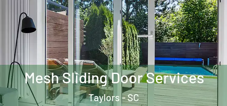 Mesh Sliding Door Services Taylors - SC